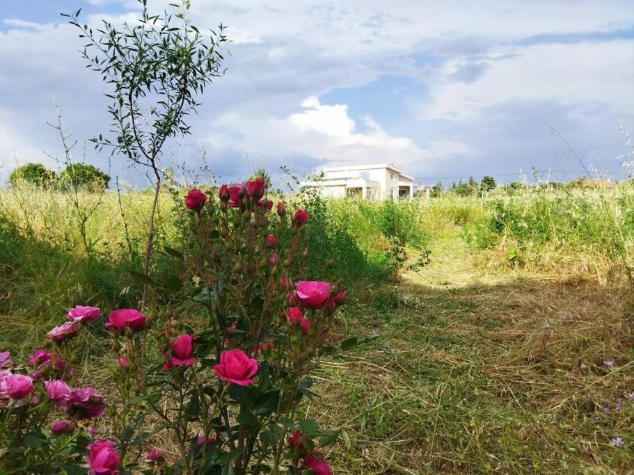 Do Nothing Land Holiday home *