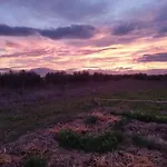 Do Nothing Land