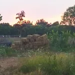 Do Nothing Land