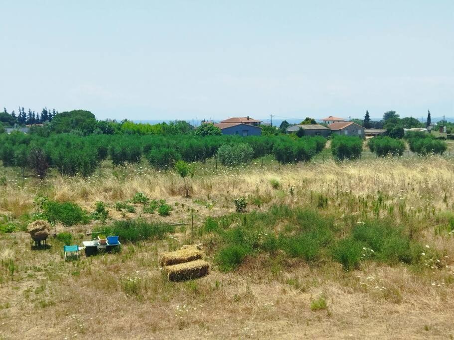 Holiday home Do Nothing Land Thessaloniki