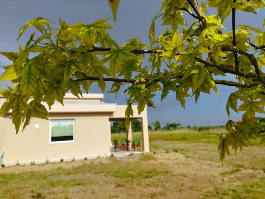 Do Nothing Land Holiday home Thessaloniki
