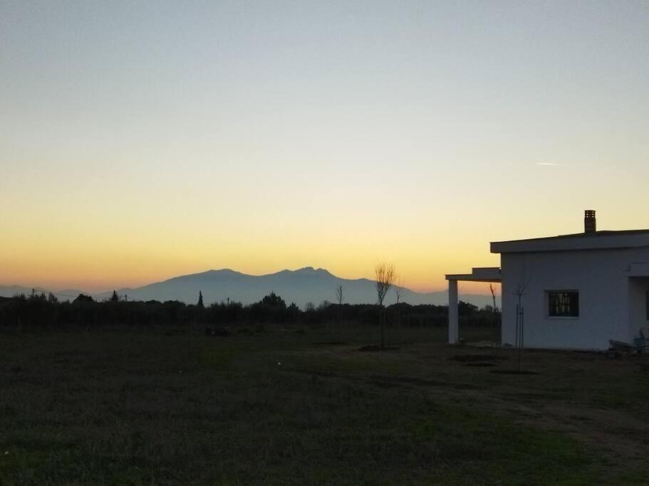 Holiday home Do Nothing Land Thessaloniki